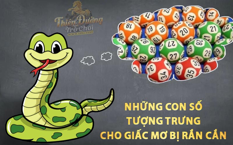 Những con số tương trưng cho giấc mơ bị rắn cắn